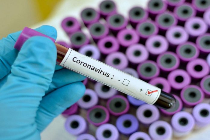 corona virus cases in 24hrs