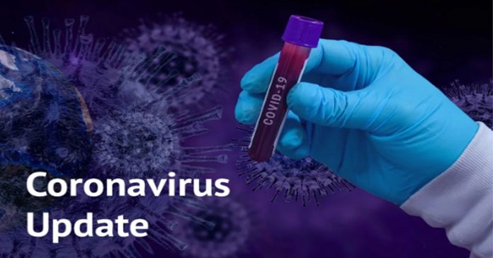 coronavirus cases and deaths