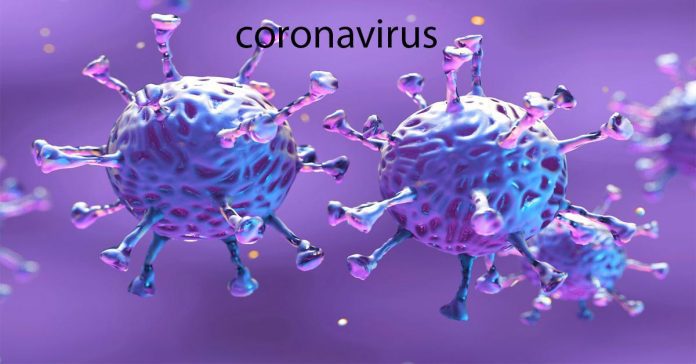 coronavirus cases cross 9 lakh