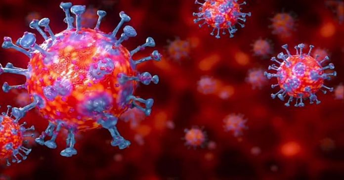 coronavirus cases in india in 24 hours