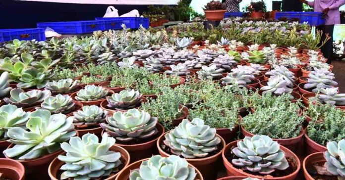 horticulture expo in hyderabad