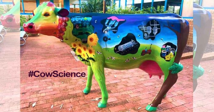 cow science exam