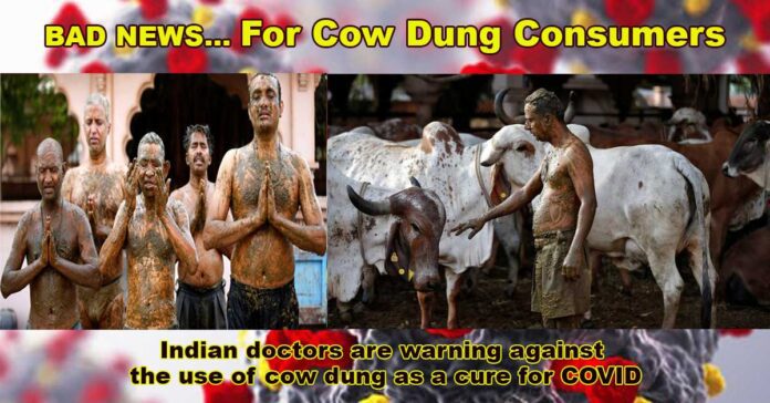 cow dung for covid cure