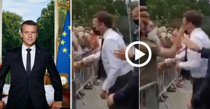 french president macron slapped