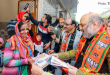 amit shah election campaign up