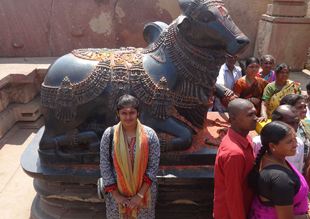 Monolithic black granite Bull- typical of Shaivite Kakatiyan Architecture