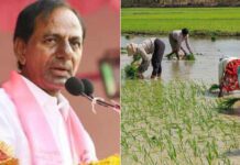kcr promises free electricity at national wide for farmers