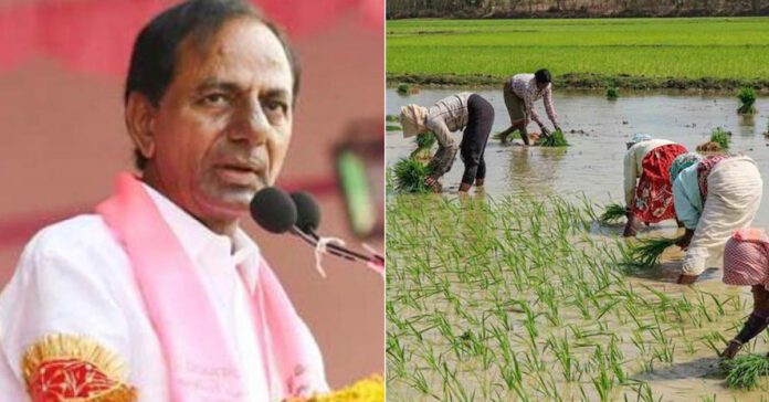 kcr promises free electricity at national wide for farmers