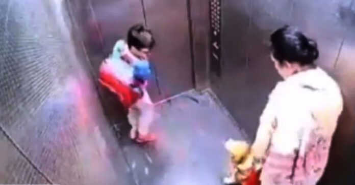 pet dog bites child in lift