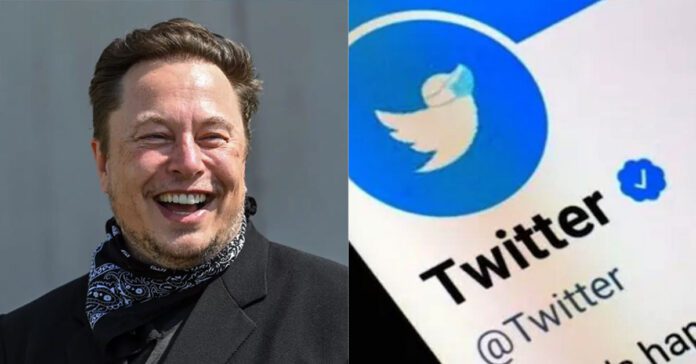 twitter chief elon musk blue tick verification process