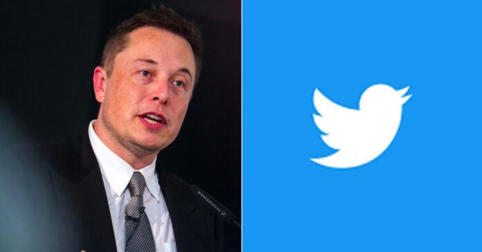 elon-musk-twitter-ceo-poll