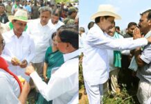 KCR relief to farmers