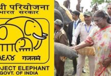 project-elephant-gaj-utsav-droupadi-murmu