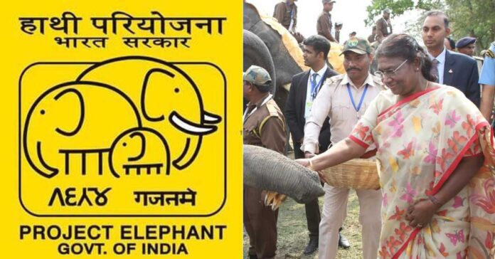 project-elephant-gaj-utsav-droupadi-murmu