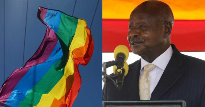 anti-LGBTQ law in uganda