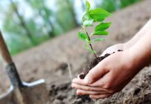 haritha haram 2023